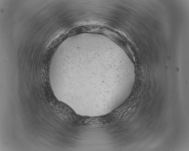 X0000068770967200605191644