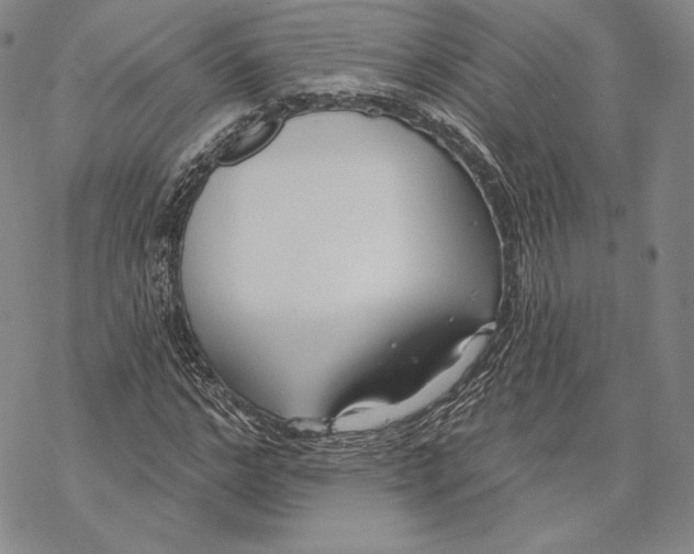 X0000068770968200605191644