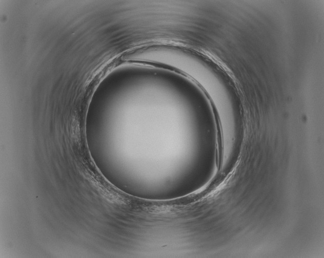 X0000068770969200605191644