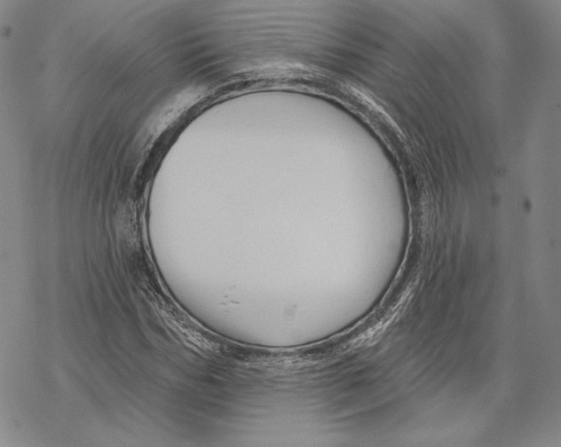 X0000068770970200605191644