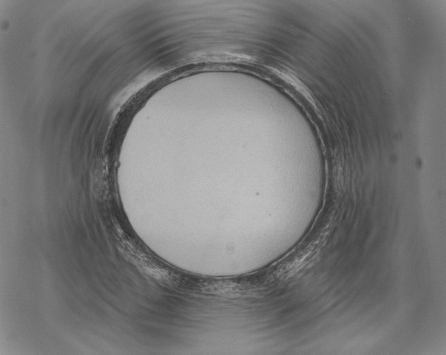 X0000068770971200605191644