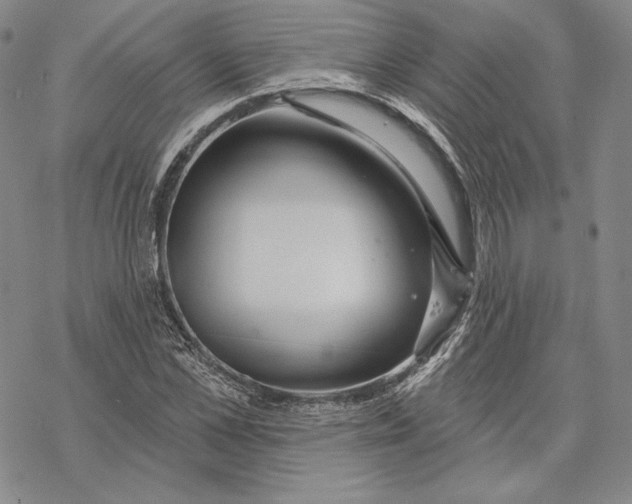 X0000068770973200605191644