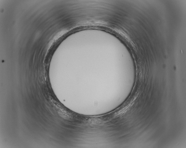 X0000068770974200605191644