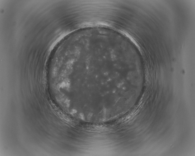 X0000068770975200605191644