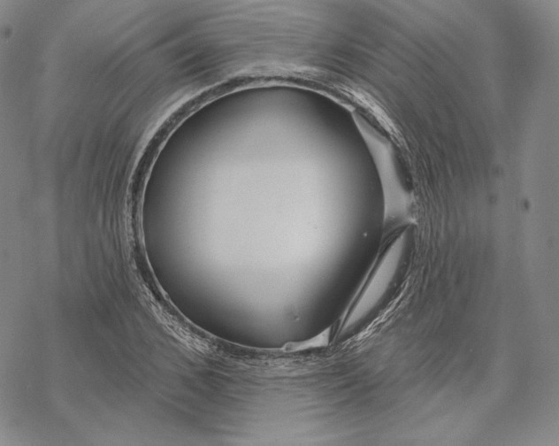 X0000068770976200605191644