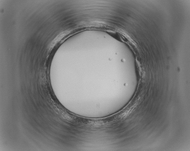 X0000068770978200605191644