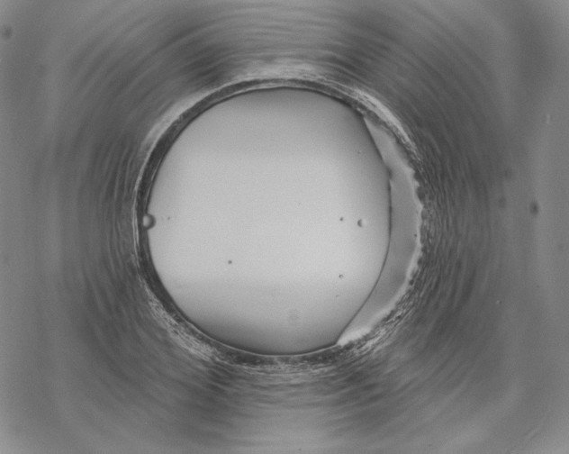 X0000068770980200605191644