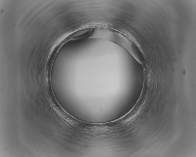 X0000068770981200605191644