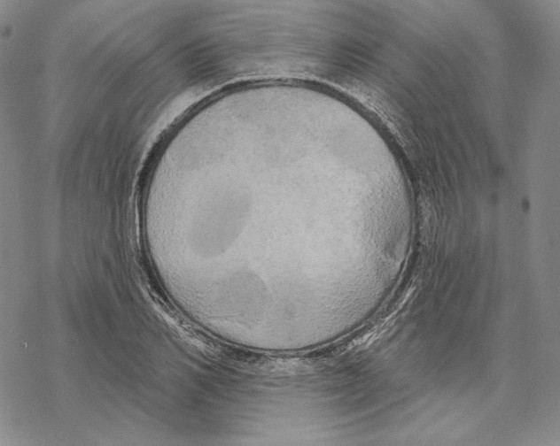 X0000068770982200605191644