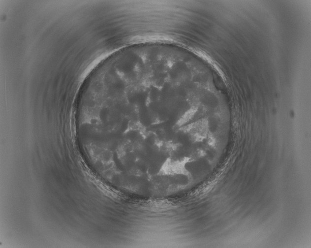 X0000068770983200605191644