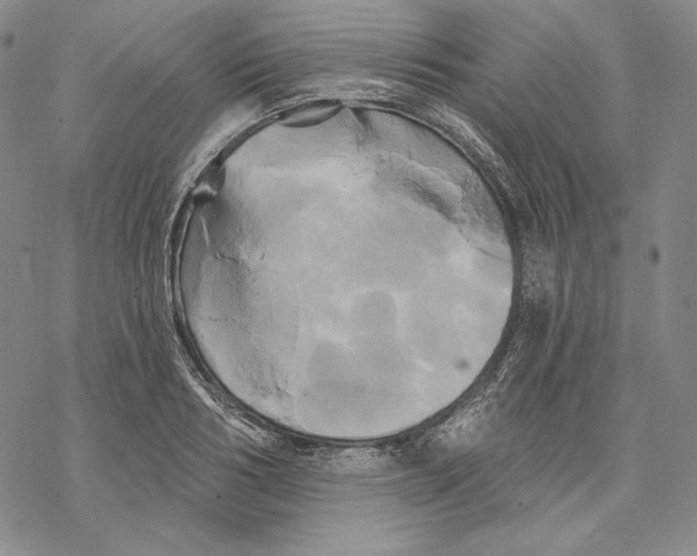 X0000068770986200605191644