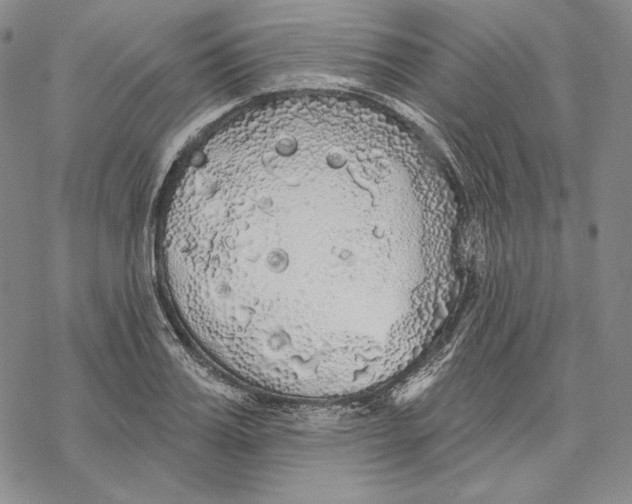 X0000068770987200605191644