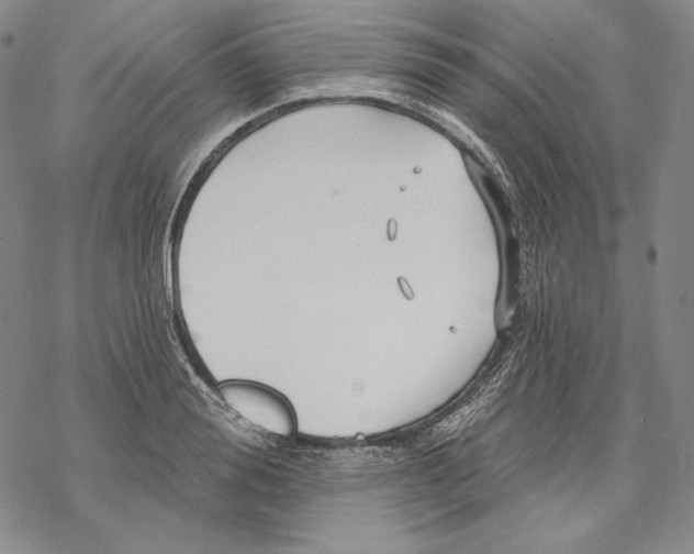 X0000068770988200605191644