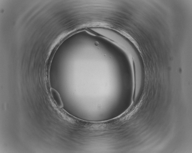 X0000068770989200605191644