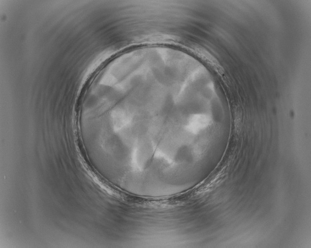 X0000068770990200605191644