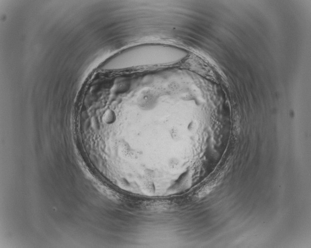 X0000068770991200605191644