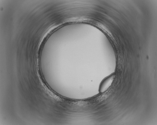 X0000068770992200605191644