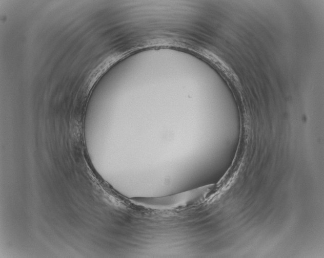 X0000068770993200605191644