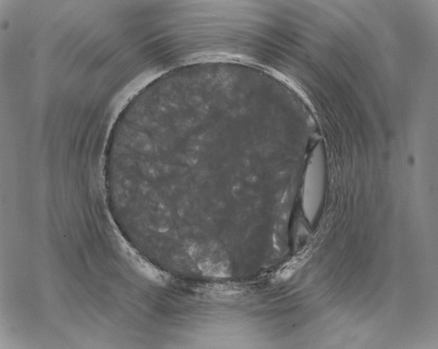 X0000068770995200605191644