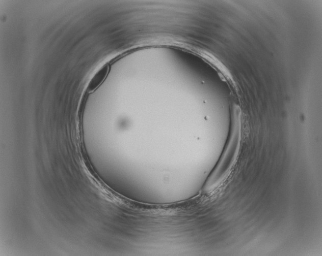 X0000068770996200605191644