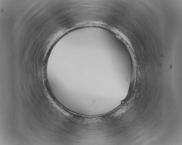 X0000068770997200605191644