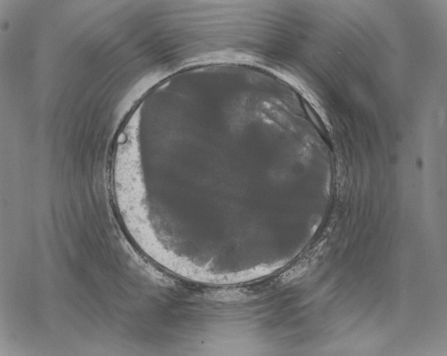 X0000068770998200605191643