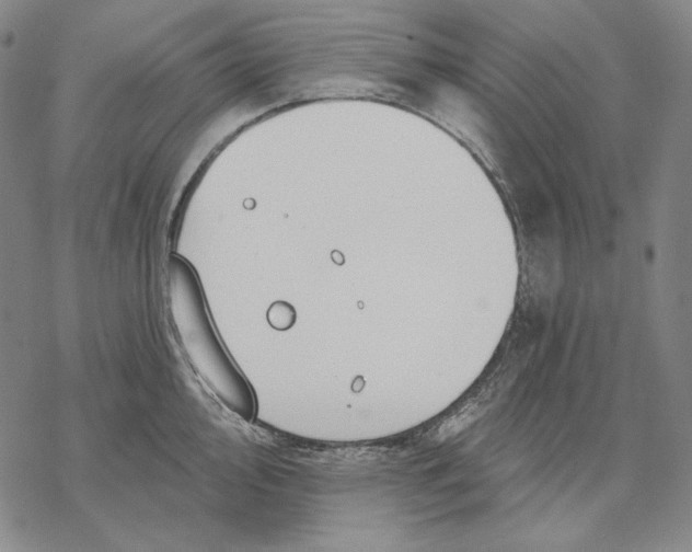 X0000068771000200605191643