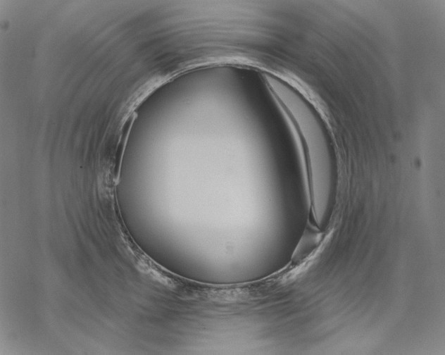 X0000068771001200605191643