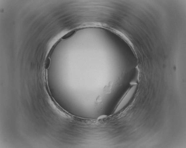 X0000068771003200605191643