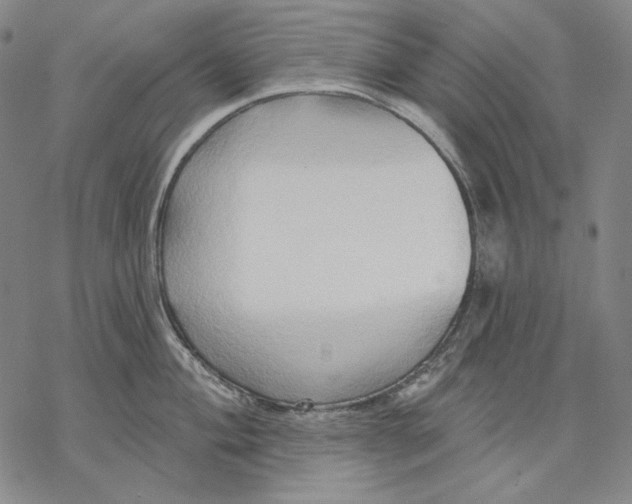 X0000068771004200605191643