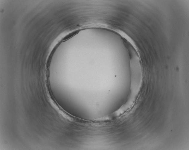 X0000068771005200605191643