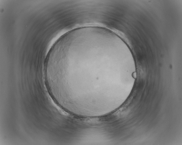 X0000068771006200605191643