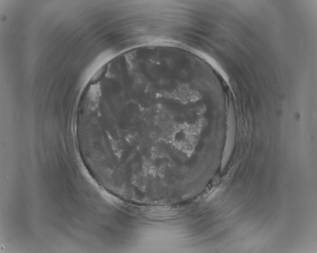 X0000068771007200605191643