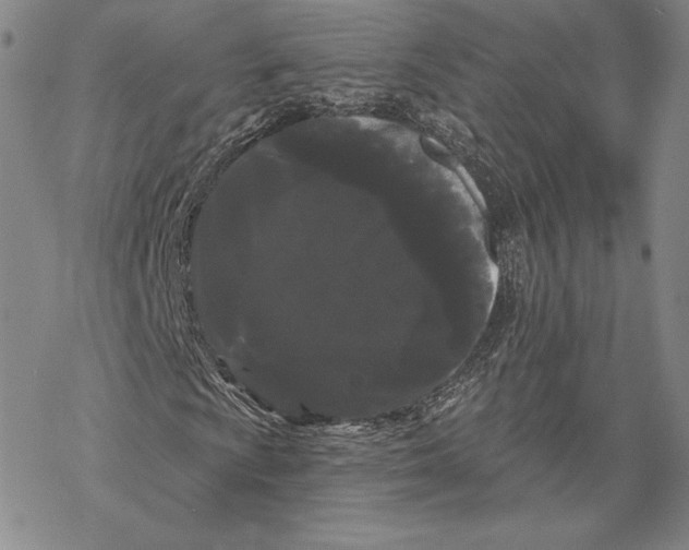 X0000068771009200605191643