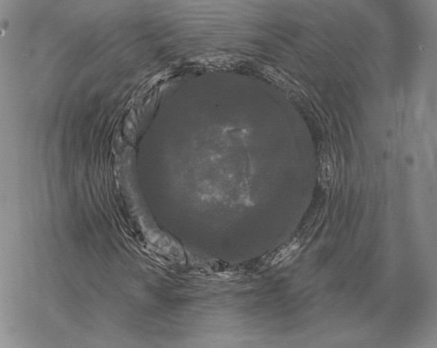 X0000068771010200605191643