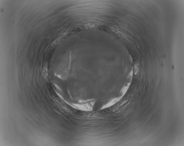 X0000068771011200605191643