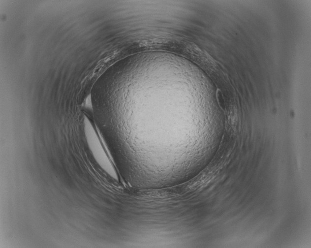 X0000068771012200605191643