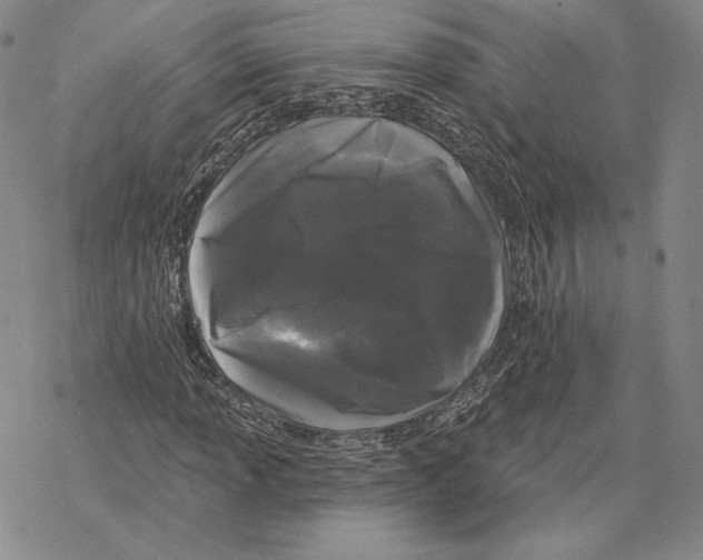 X0000068771013200605191643