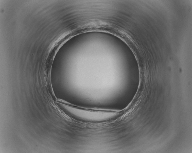 X0000068771018200605191643