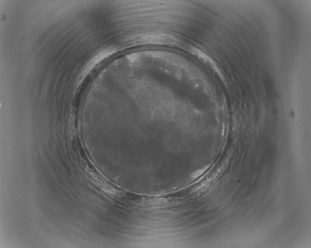 X0000068771019200605191643