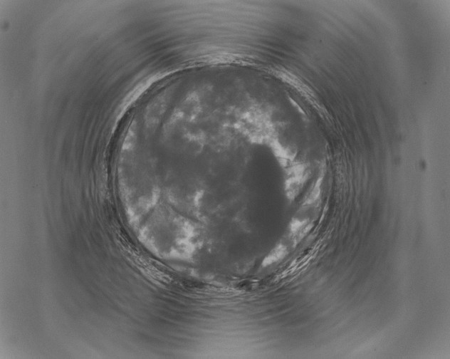 X0000068771023200605191643