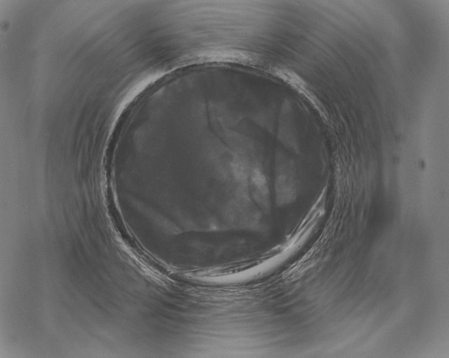 X0000068771024200605191643