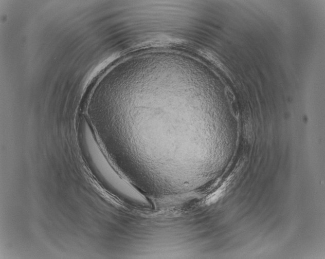 X0000068771026200605191643