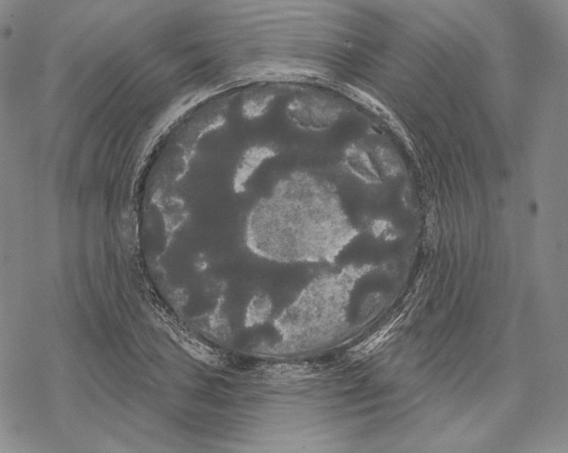 X0000068771027200605191643