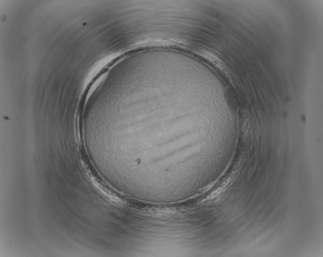 X0000068771030200605191643