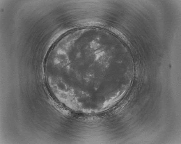 X0000068771031200605191643