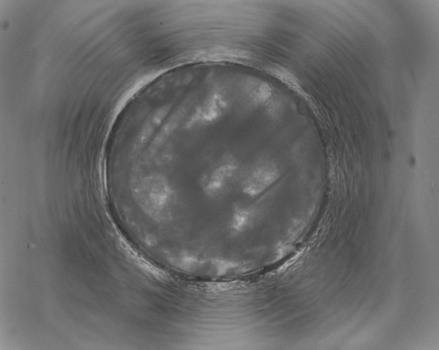 X0000068771032200605191643