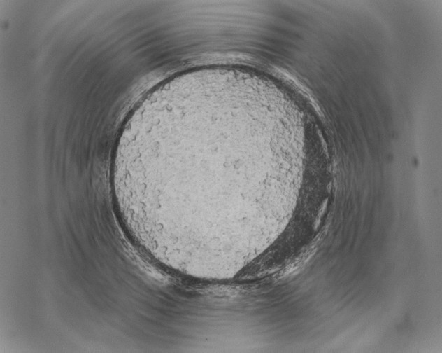 X0000068771033200605191643