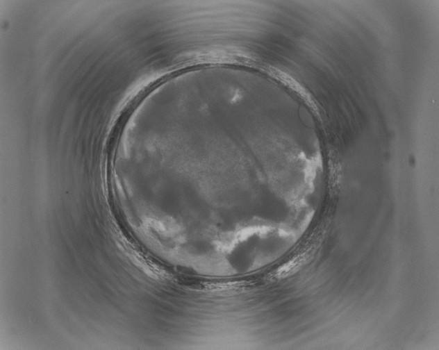 X0000068771035200605191643