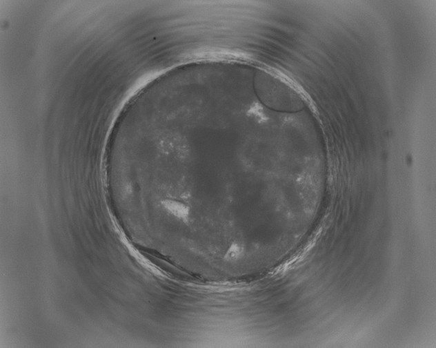 X0000068771037200605191643